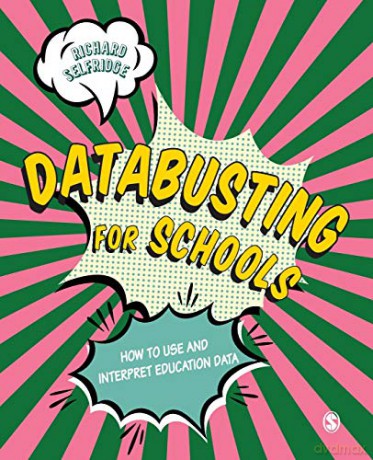 Databusting for Schools: How to Use and Interpret Education Data - Richard Selfridge [KSIĄŻKA]