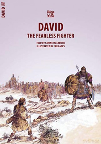 David: The Fearless Fighter (Bible Wise) - Carine MacKenzie [KSIĄŻKA]