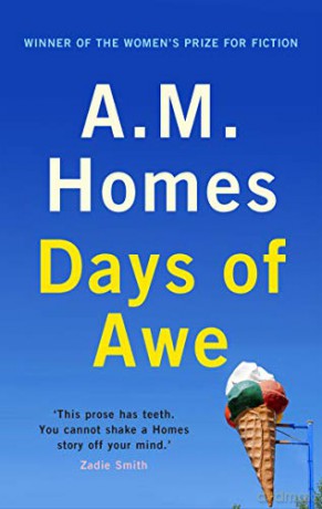 Days of Awe: A.M. Homes - A.M. Homes [KSIĄŻKA]