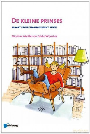 De Kleine Prinses - Maakt Projectmanagement Stoer - 2de Druk - Fokke Wijnstra [KSIĄŻKA]