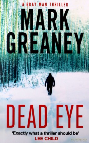 Dead Eye (Gray Man) [KSIĄŻKA]