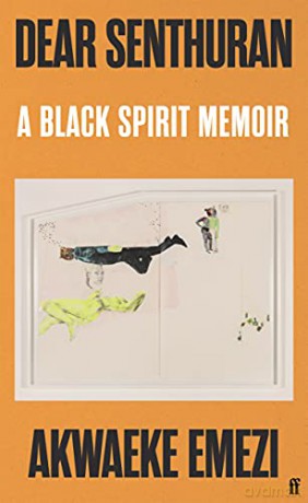 Dear Senthuran: A black spirit memoir: Akwaeke Emezi - Akwaeke Emezi [KSIĄŻKA]