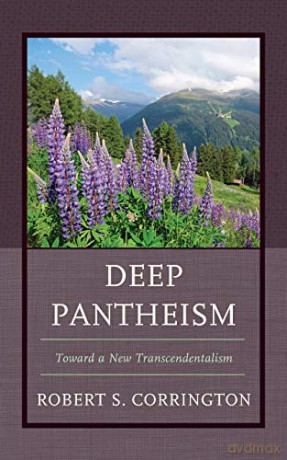 Deep Pantheism: Toward a New Transcendentalism - Robert S. Corrington [KSIĄŻKA]