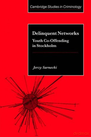 Delinquent Networks: Youth Co-Offending in Stockholm (Cambridge Studies in Criminology) - Jerzy Sarnecki [KSIĄŻKA]