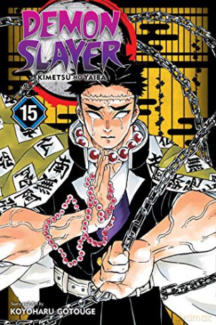 Demon Slayer: Kimetsu no Yaiba 15: Volume 15 - Koyoharu Gotouge [KSIĄŻKA]
