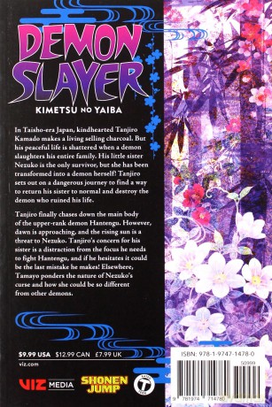 Demon Slayer: Kimetsu no Yaiba 15: Volume 15 - Koyoharu Gotouge [KSIĄŻKA]