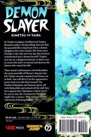 Demon Slayer: Kimetsu no Yaiba Vol. 20: Volume 20 - Koyoharu Gotouge [KSIĄŻKA]
