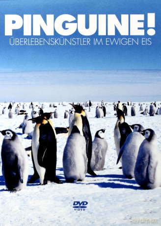 Pinguine! [DVD]