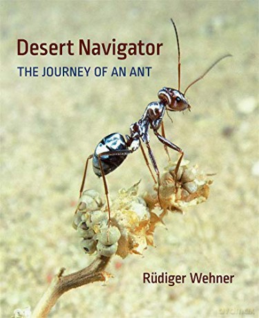 Desert Navigator: The Journey of an Ant - Rüdiger Wehner [KSIĄŻKA]