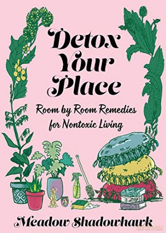 Detox Your Place: Room by Room Remedies for Nontoxic Living (Good Life) - Meadow Shadowhawk [KSIĄŻKA]