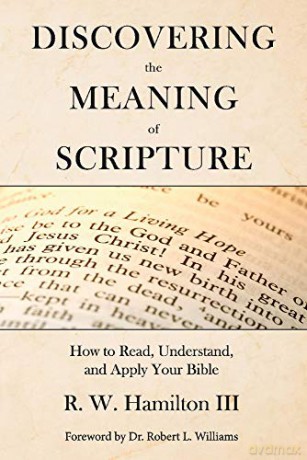 Discovering the Meaning of Scripture: How to Read, Understand, and Apply Your Bible - R.W. Hamilton [KSIĄŻKA]