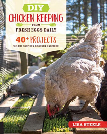DIY Chicken Keeping from Fresh Eggs Daily: 40+ Projects for the Coop, Run, Brooder, and More! - Lisa Steele [KSIĄŻKA]