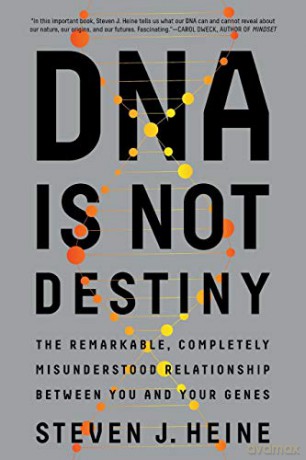 DNA Is Not Destiny: The Remarkable, Completely Misunderstood Relationship between You and Your Genes - Steven J. Heine [KSIĄŻKA]