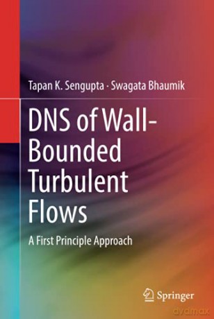 DNS of Wall-Bounded Turbulent Flows: A First Principle Approach [KSIĄŻKA]