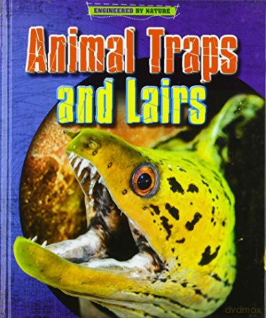 Engineered by Nature: Animal Traps and Lairs - Louise Spilsbury [KSIĄŻKA]