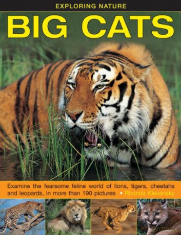 Exploring Nature: Big Cats: Examine the Fearsome Feline World of Lions, Tigers, Cheetahs and Leopards, in More Than 190 Pictures - Rhonda Klevansky [KSIĄŻKA]