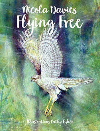 Flying Free (Country Tales): 2 - Nicola Davies [KSIĄŻKA]