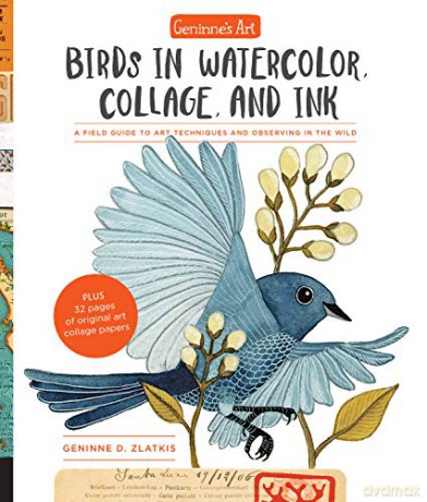 Geninne's Art: Birds in Watercolor, Collage, and Ink: A field guide to art techniques and observing in the wild (Gennies Art) - Geninne D. Zlatkis [KSIĄŻKA]