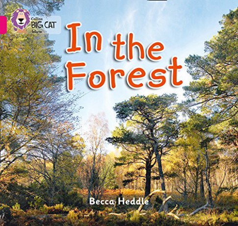 In the Forest: Band 01B/Pink B (Collins Big Cat) - Becca Heddle [KSIĄŻKA]