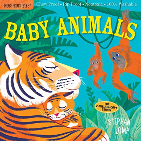 Indestructibles: Baby Animals: Chew Proof E Rip Proof E Nontoxic E 100% Washable (Book for Babies, Newborn Books, Safe to Chew) - Amy Pixton [KSIĄŻKA]
