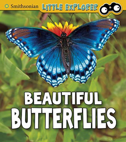 Insect Explorer: Beautiful Butterflies - Melissa Higgins [KSIĄŻKA]
