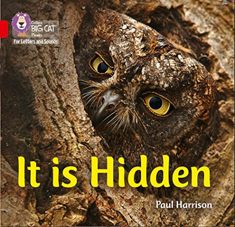 It is Hidden: Band 02B/Red B (Collins Big Cat Phonics for Letters and Sounds) - Paul Harrison [KSIĄŻKA]