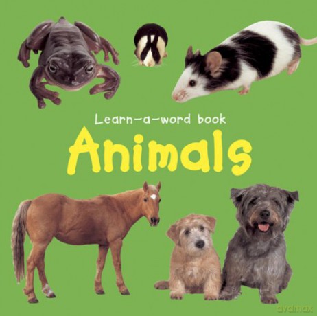 Learn-A-Word Book: Animals [KSIĄŻKA]