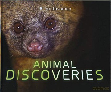 Marvellous Discoveries: Animal Discoveries - Tamra B. Orr [KSIĄŻKA]