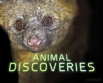 Marvellous Discoveries: Animal Discoveries - Tamra B. Orr [KSIĄŻKA]