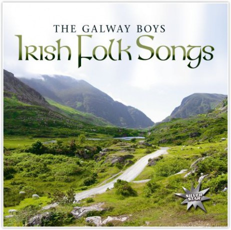 Irish Folk Songs [CD]