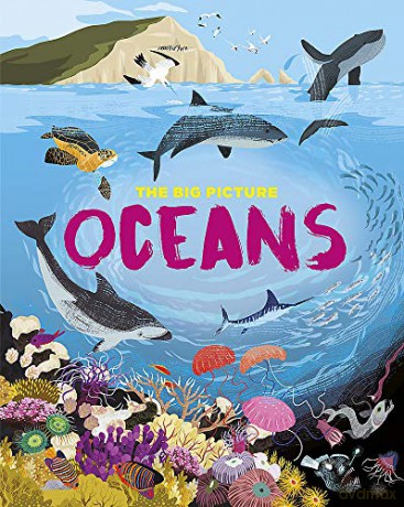 Oceans (The Big Picture) - Jon Richards [KSIĄŻKA]