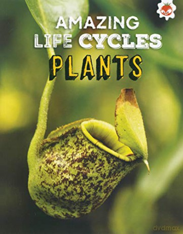 Plants - Amazing Life Cycles - John Allan [KSIĄŻKA]