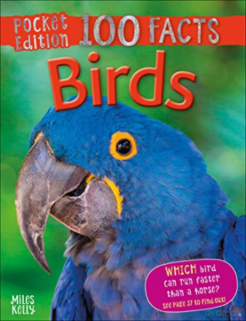 Pocket Edition 100 Facts Birds - Jinny Johnson [KSIĄŻKA]