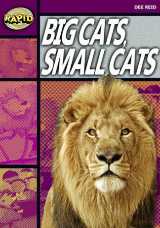 Rapid Reading: Big Cats Small Cats (Stage 1, Level 1A) (RAPID SERIES 1) - Dee Reid [KSIĄŻKA]