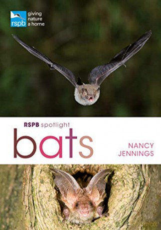 RSPB Spotlight Bats - Nancy Jennings [KSIĄŻKA]