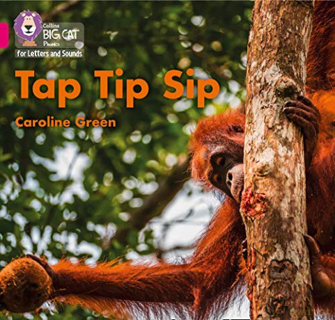Tap Tip Sip: Band 01A/Pink A (Collins Big Cat Phonics for Letters and Sounds) - Caroline Green [KSIĄŻKA]