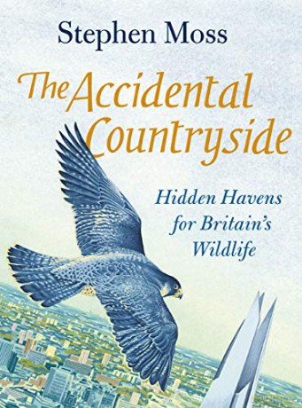 The Accidental Countryside: Hidden Havens for Britain's Wildlife - Stephen Moss [KSIĄŻKA]