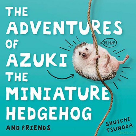 The Adventures of Azuki the Miniature Hedgehog and Friends - Shuichi Tsunoda [KSIĄŻKA]