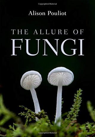 The Allure of Fungi - Alison Pouliot [KSIĄŻKA]