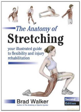 The Anatomy of Stretching: Your Illustrated Guide to Flexibility and Injury Rehabilitation - Brad Walker [KSIĄŻKA]