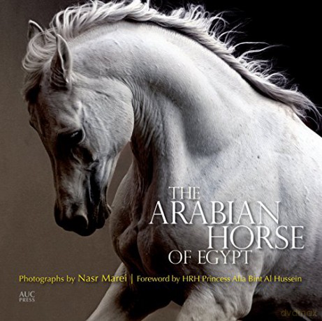 The Arabian Horse of Egypt - Nasr Marei [KSIĄŻKA]