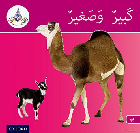 The Arabic Club Readers: Pink Band B: Big and Small (The Arabic Reader Club) - Rabab Hamiduddin [KSIĄŻKA]