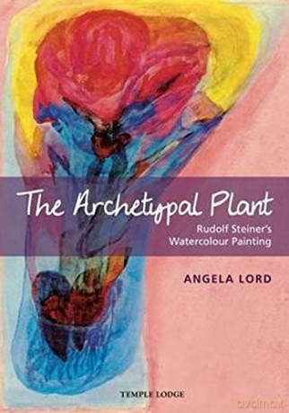 The Archetypal Plant: Rudolf Steiner's Watercolour Painting - Angela Lord [KSIĄŻKA]