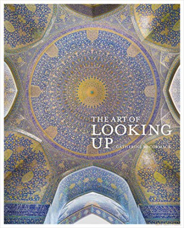 The Art of Looking Up - Catherine McCormack [KSIĄŻKA]