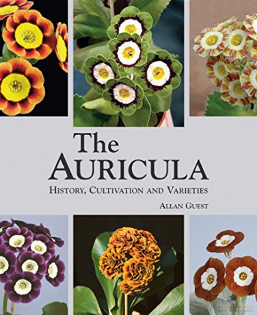 The Auricula: History, Cultivation and Varieties - Allan Guest [KSIĄŻKA]