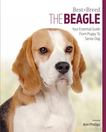 The Beagle Best of Breed - Ann Phillips [KSIĄŻKA]