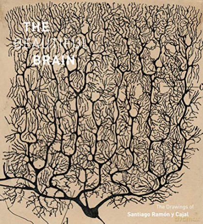 The Beautiful Brain: The Drawings of Santiago Ramon y Cajal - Larry Swanson [KSIĄŻKA]