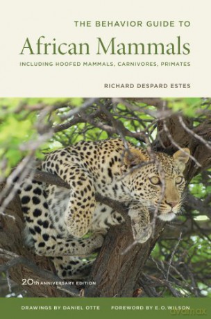 The Behavior Guide to African Mammals: 20th Anniversary Edition: Including Hoofed Mammals, Carnivores, Primates: Including Hoofed Mammals, Carnivores, Primates, 20th Anniversary Edition - Richard Despard Estes [KSIĄŻKA]
