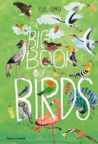 The Big Book of Birds (The Big Book series) - Yuval Zommer [KSIĄŻKA]
