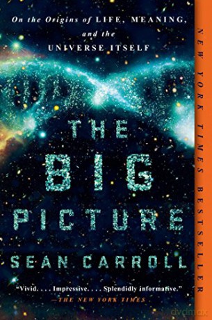 The Big Picture: On the Origins of Life, Meaning, and the Universe Itself - Sean Carroll [KSIĄŻKA]